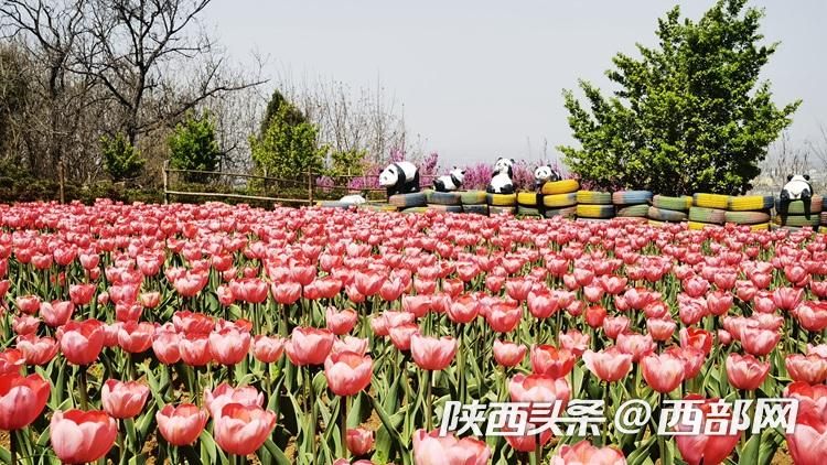 正在上传... 9e65a19dcd733b06bf0b4325e9c68486.jpeg