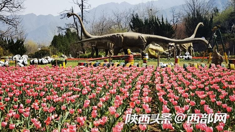 正在上传... ea31227cdb5ca5a6448fa646194d02bf.jpeg