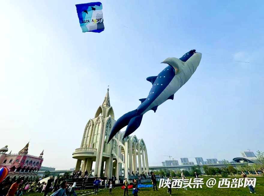 51930d7e5a57fc0956eff63f7fcf8fbf.png