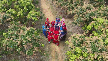 4b6d7ff3714ed6075eb00d199c4c16e7.gif