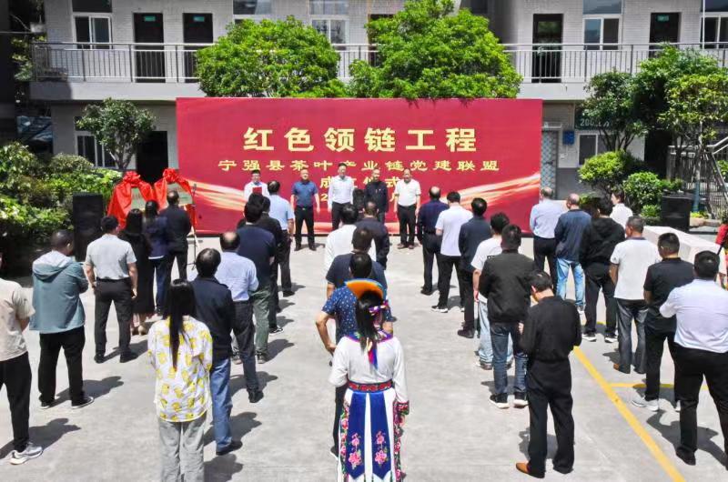 汉中宁强举行“红色领链”工程茶叶产业链 党建联盟成立仪式