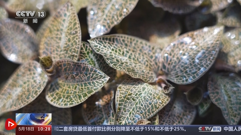 71ca042bbd1b55357688c9e8ded53902.png