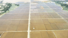 74598fc13ce5c3be1845d69c621d63e0.gif