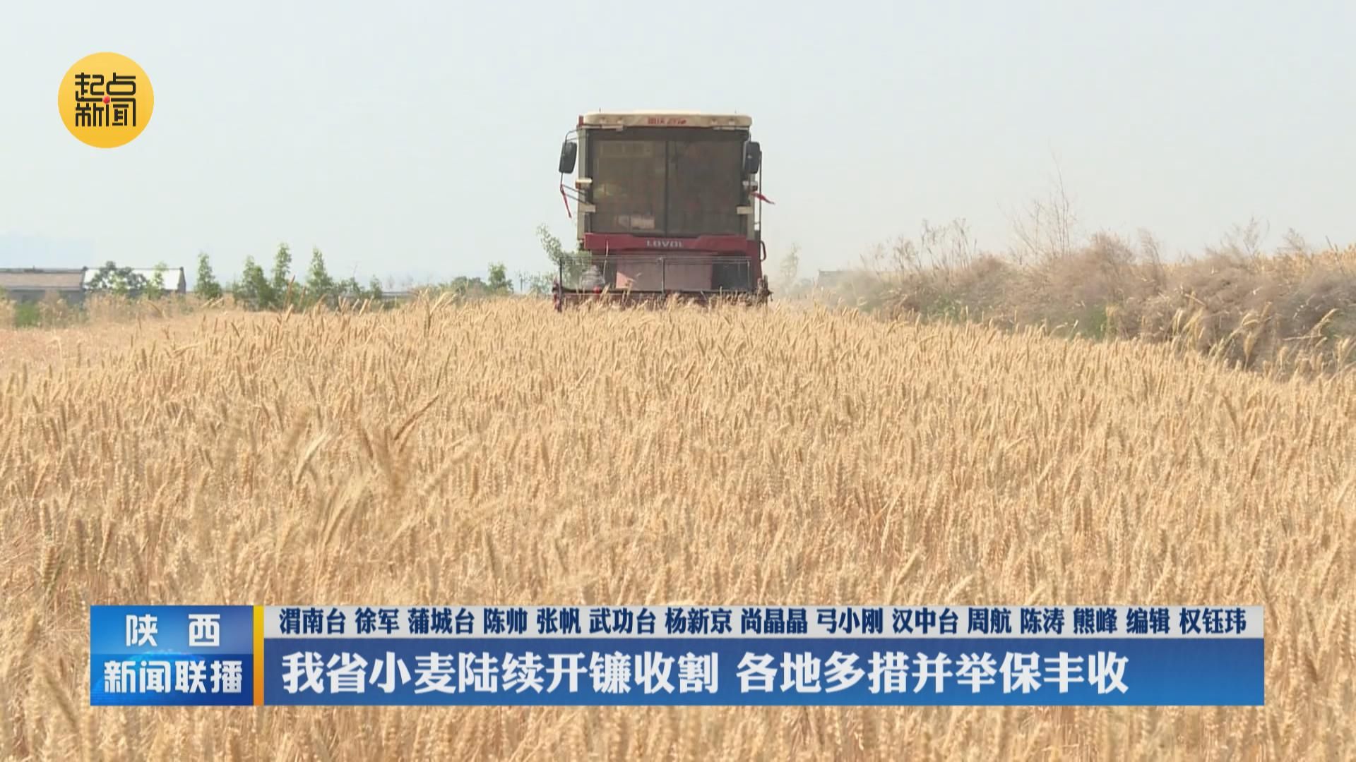 我省小麦陆续开镰收割 各地多措并举保丰收 - 陕西网络广播电视台