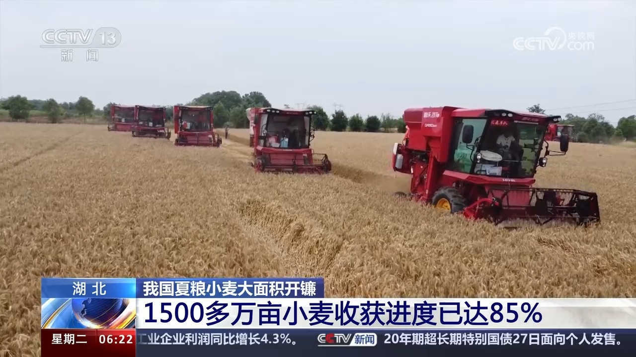 全国麦收进度已近两成 我国夏粮小麦大面积开镰 - 西部网(陕西新闻网)