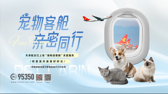 可以带宠物乘飞机了！ 天津航空推出宠物进客舱服务