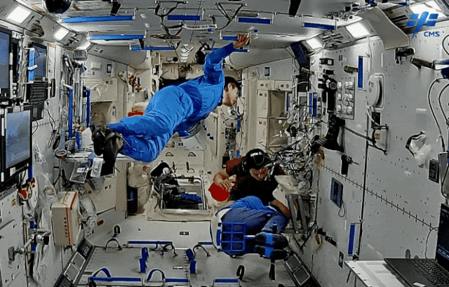 1717383790454354.gif 640.gif