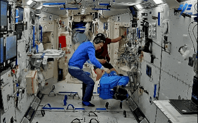 1717383989962636.gif 640 (9).gif