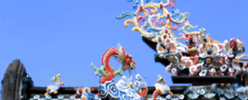 a1b63daf5b1870ace003bff37d8eaea2.gif