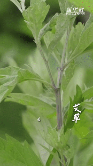 a3097b42019319b96054c478923cd641.gif