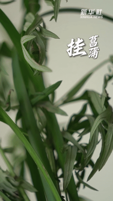 f4f4327c6d05df3fde4158988e90a78c.gif