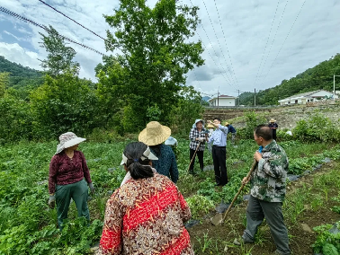 1718264216890177.png 2.png