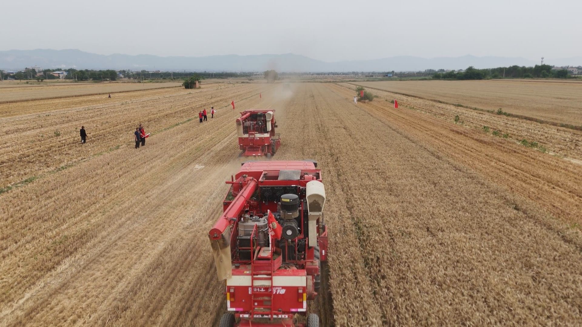 小麦收割机正在作业（本文图片来自富平县融媒体中心）