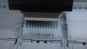 79fa09b8e68713b2a553949216904131.gif