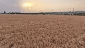 867859a0b3e793dfbe47d80c63c638c8.gif
