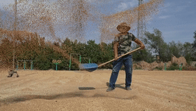 dc79620bfa473678b6fe9f66633ba376.gif