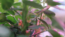 50450076b3e1e159ceba1974a1ab3856.gif