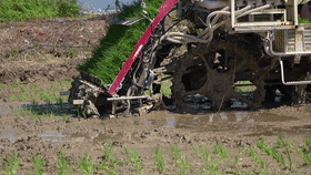 ec981e31290cd082d385e8efca25efb5.gif