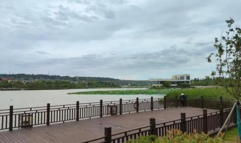 【高质量发展调研行】节水增效添新绿 循环利用惠民生 【高质量发展调研行】节水增效添新绿 循环利用惠民生