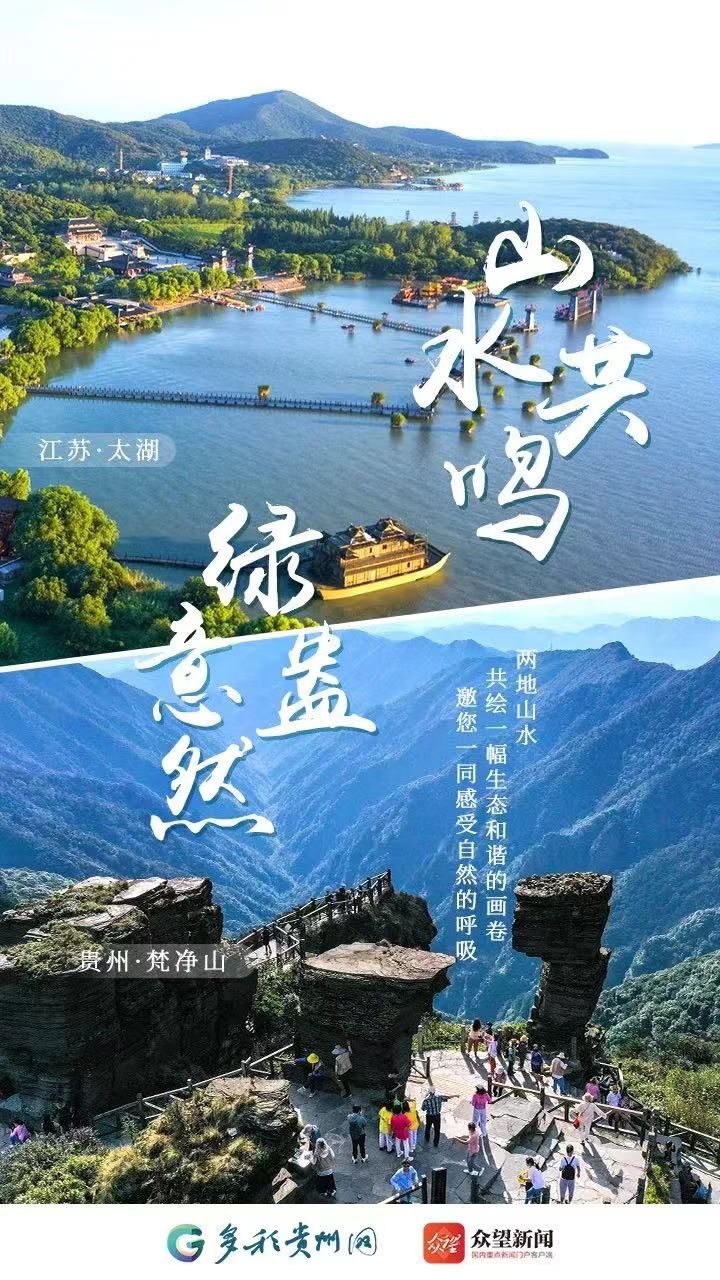 d4825805c314481bac4cd29873677d64.jpeg