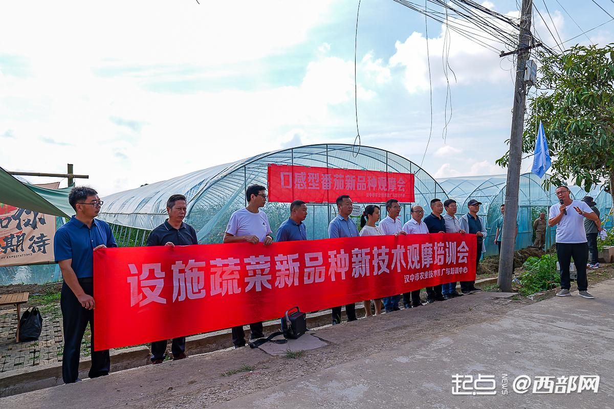 汉中市农业技术推广与培训中心组织召开全市设施蔬菜新品种新技术观摩培训会