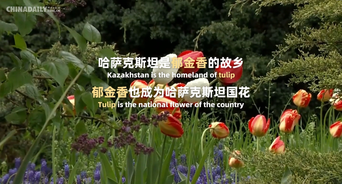 218fa2422efcb2bb2f24bd221d538a5c.png