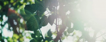 1a55e24edeab03afd8f1569415254bb1.gif
