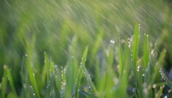 网友调侃西安潮湿得如同南方城市 今夏陕西为何多雨？