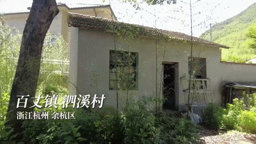 d2a1e8831ab9a9e0f23dd794ae0d2474.gif