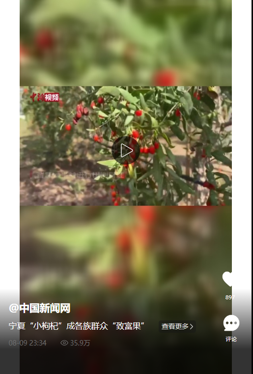 52f6c6c285b6e81dcaaef624308763f7.png