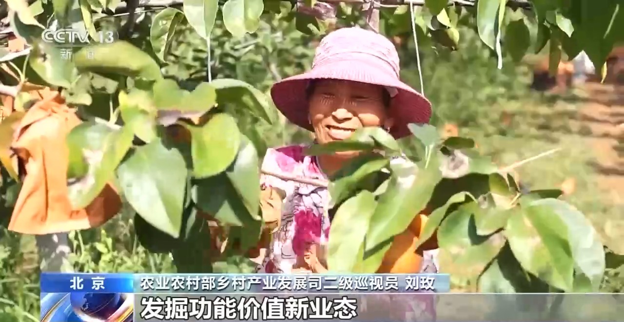 产业发展 农民增收！我国乡村产业振兴呈现良好势头 - 西部网（陕西新闻网）