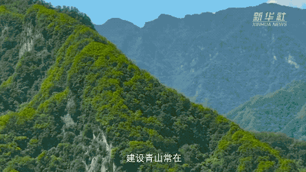 856fcce5ce8c653d8f1556e53693aa56.gif