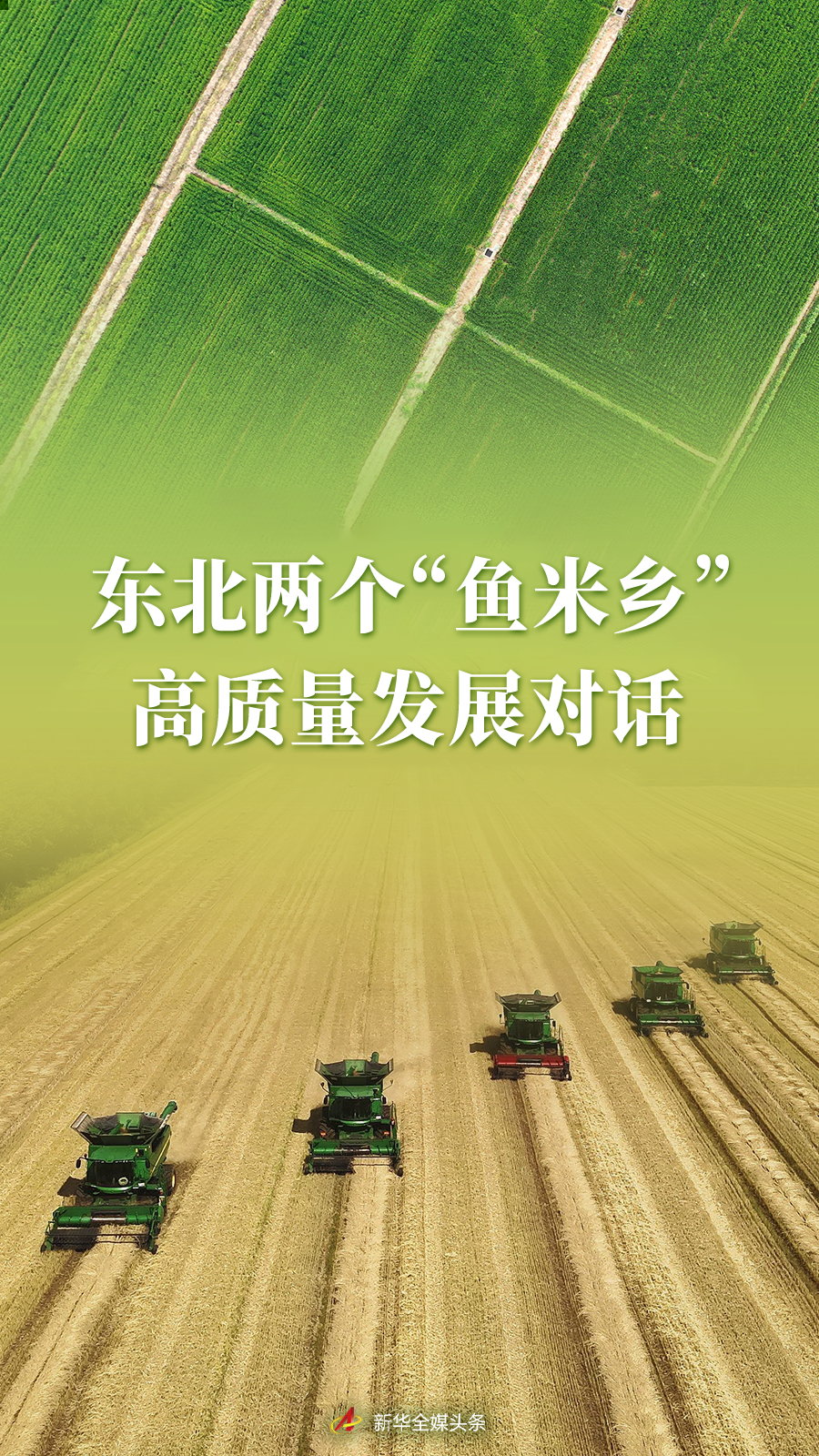 2ea17b80dc3bbcdf67880d8b041fcfce.png