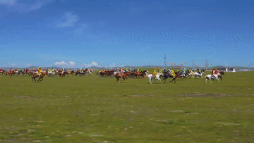 f8c92bf1def6da46fe8425bc61249e61.gif