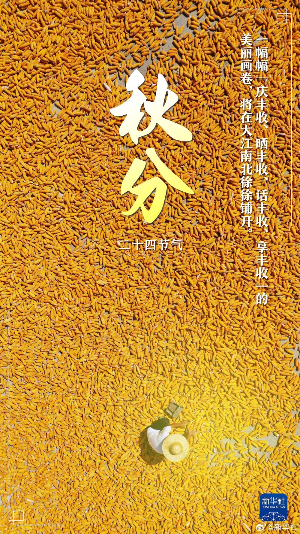 f0756319d69f2dfa7435d0ffc86f6529.jpeg