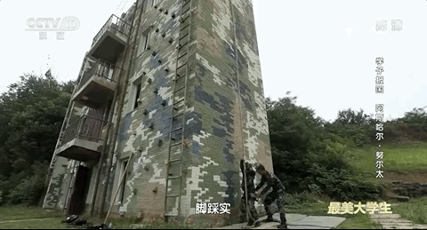5df8354f1dade176855e5ddc03dff805.gif
