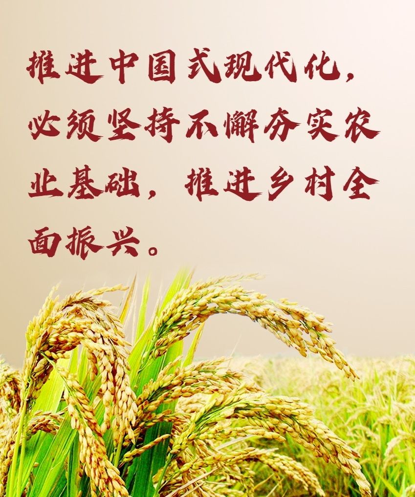 6518cdcee408a1648cf861ee3e8a9378.jpeg