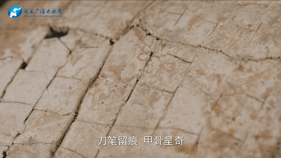 011499f08a0c209101810cbc5b336eb0.gif