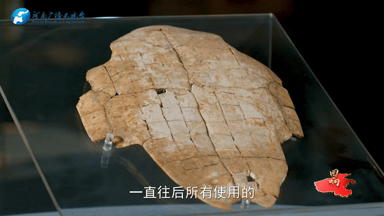 b65e9523a33376dfd9d3b124fa205218.gif