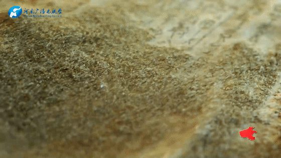 f54d6a59b07866a76e6189896e426f98.gif