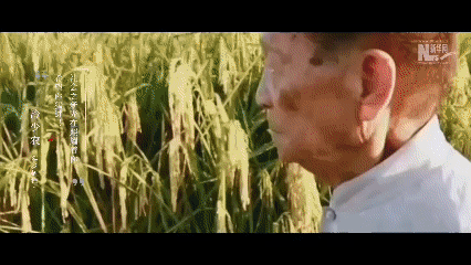 4c509445a0c1c7fdccb969afd63fa910.gif