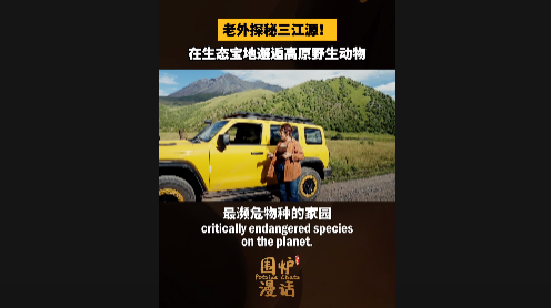 80491ab33c4605edb7bfb0b1b9db9592.png