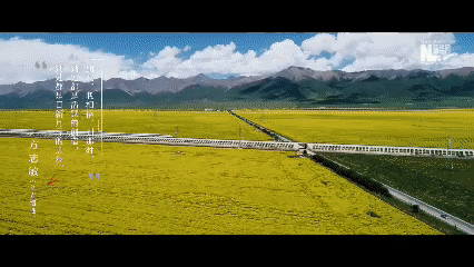 a42c5107dd74b0eb64bbc8ce4d349ce5.gif