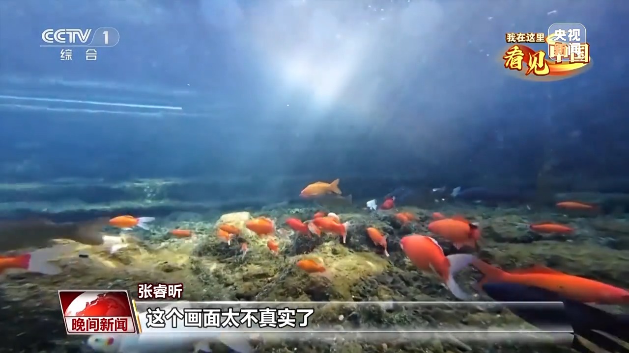 2aa6d104dcb40bbd189d031d6f1d9b12.jpeg