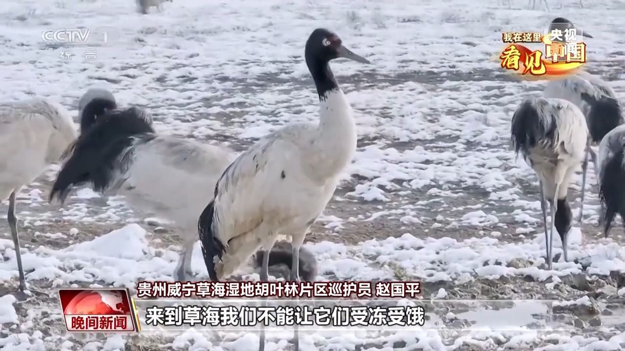 ff2a69b33e92f220d29686dba98604b1.jpeg