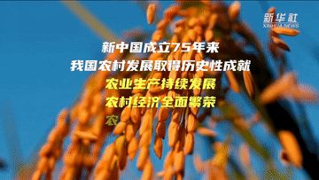 3f31c0d17977222ddfaaf0c09acdb8f2.gif
