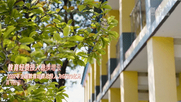 59d754fd8c08697ac0a103ff3ca3a03f.gif