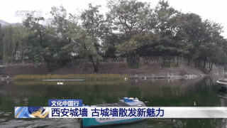 c845b2f56d197a0a1c511a578418116d.gif