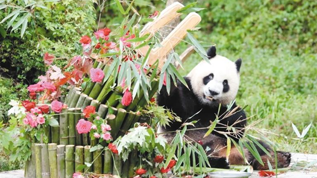 “七仔” 兒子迎來(lái)4歲生日