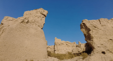 0b22f791d794aedfe3e9e06f0f3a25e7.gif